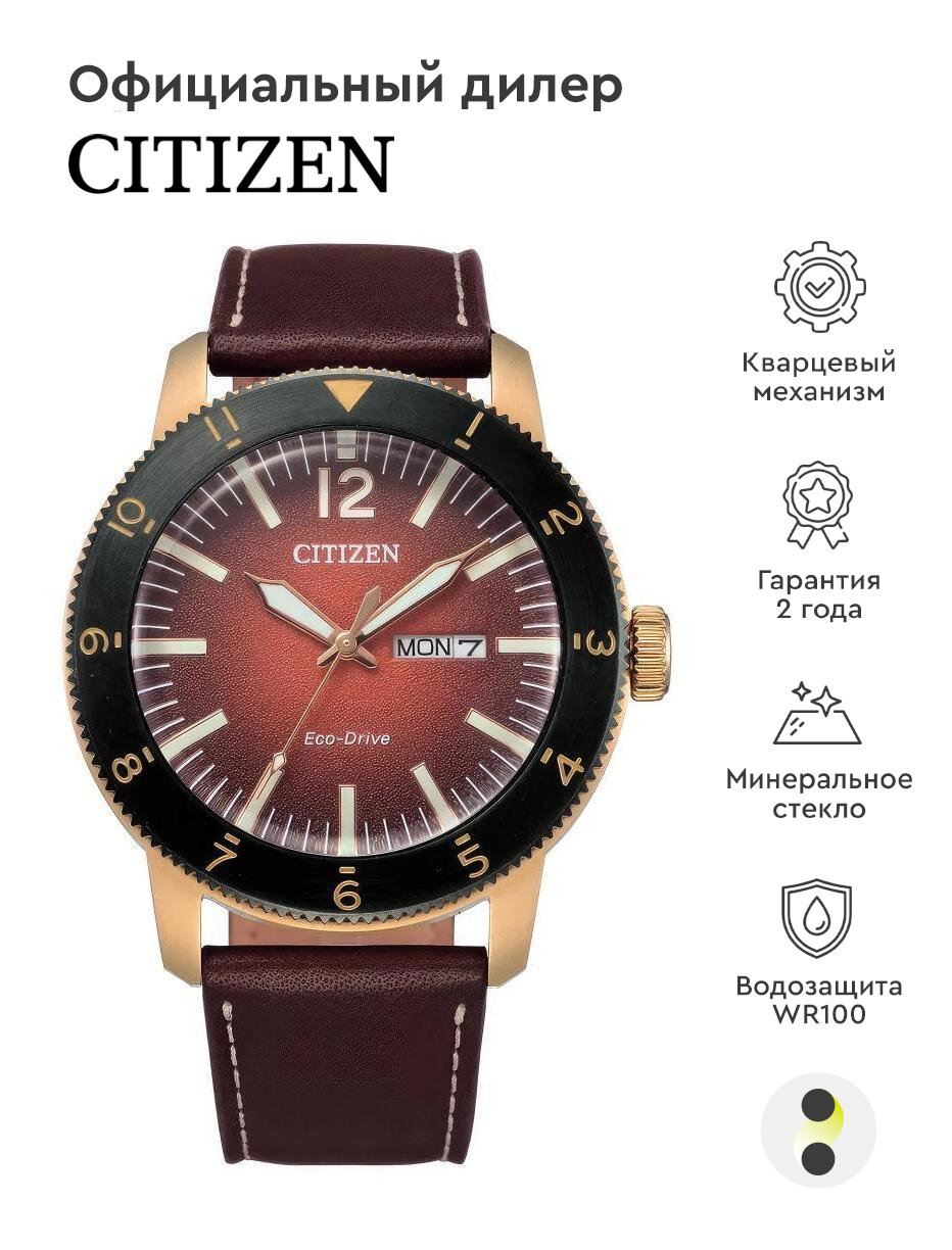 Мужские наручные часы Citizen Eco Drive AW0079-13X