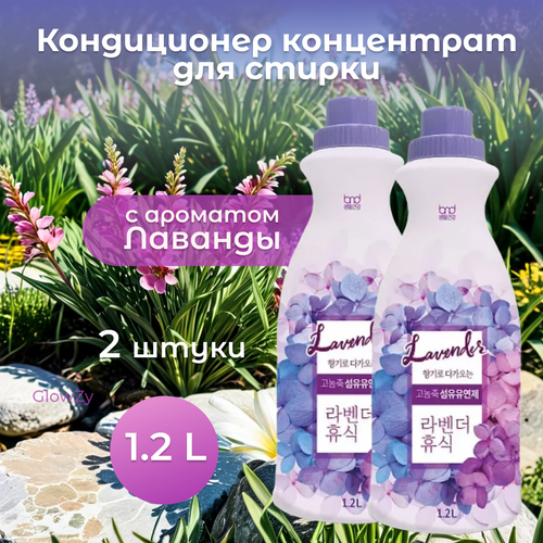 B&D Life Health Жидкое средство для стирки High Enrichment Liquid Lavender Detergent, концентрат, с ароматом лаванды, 1.2 л, 2 шт