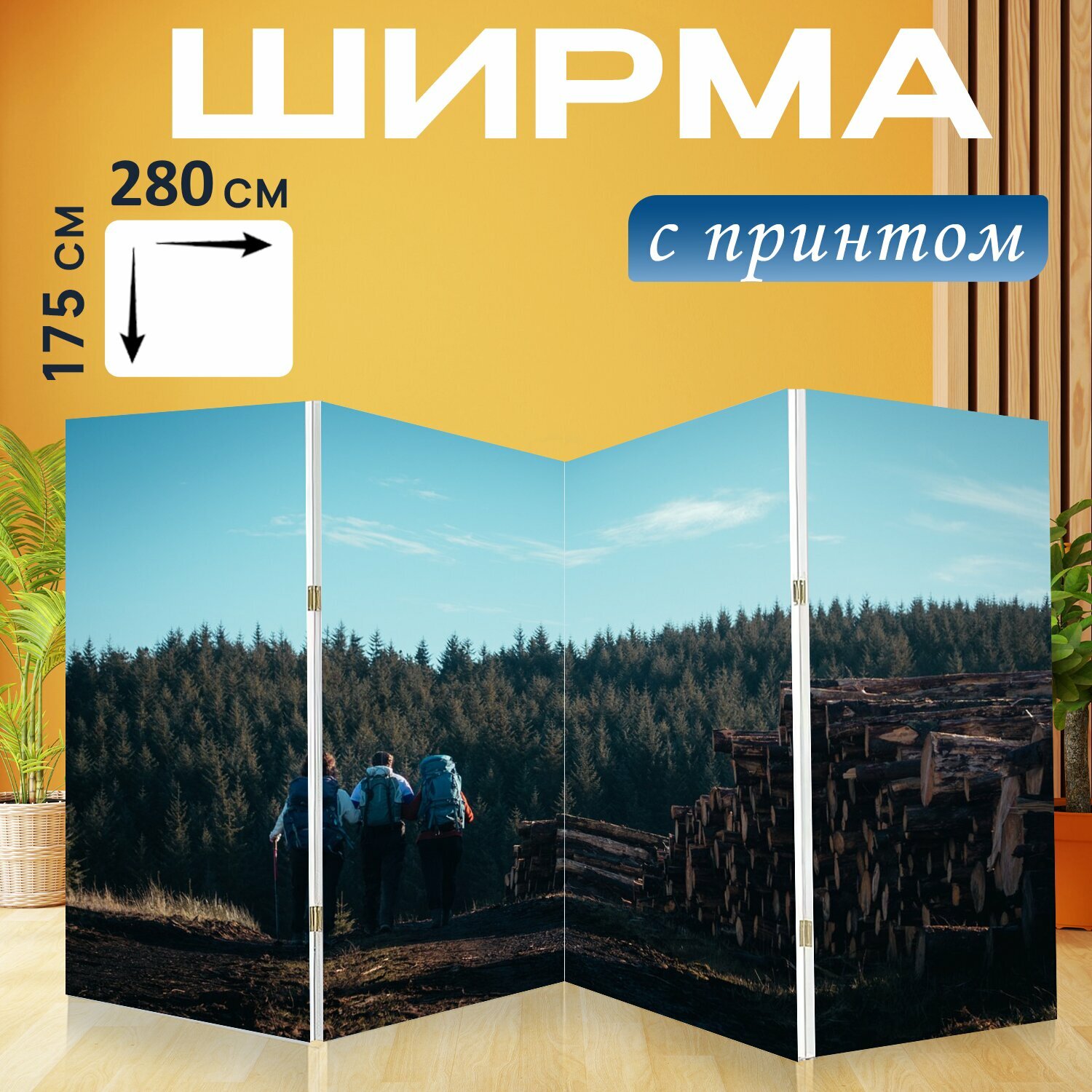 Ширма "Туристы, пеший туризм, походы" перегородка для зонирования комнаты с принтом 280x175 см. на холсте