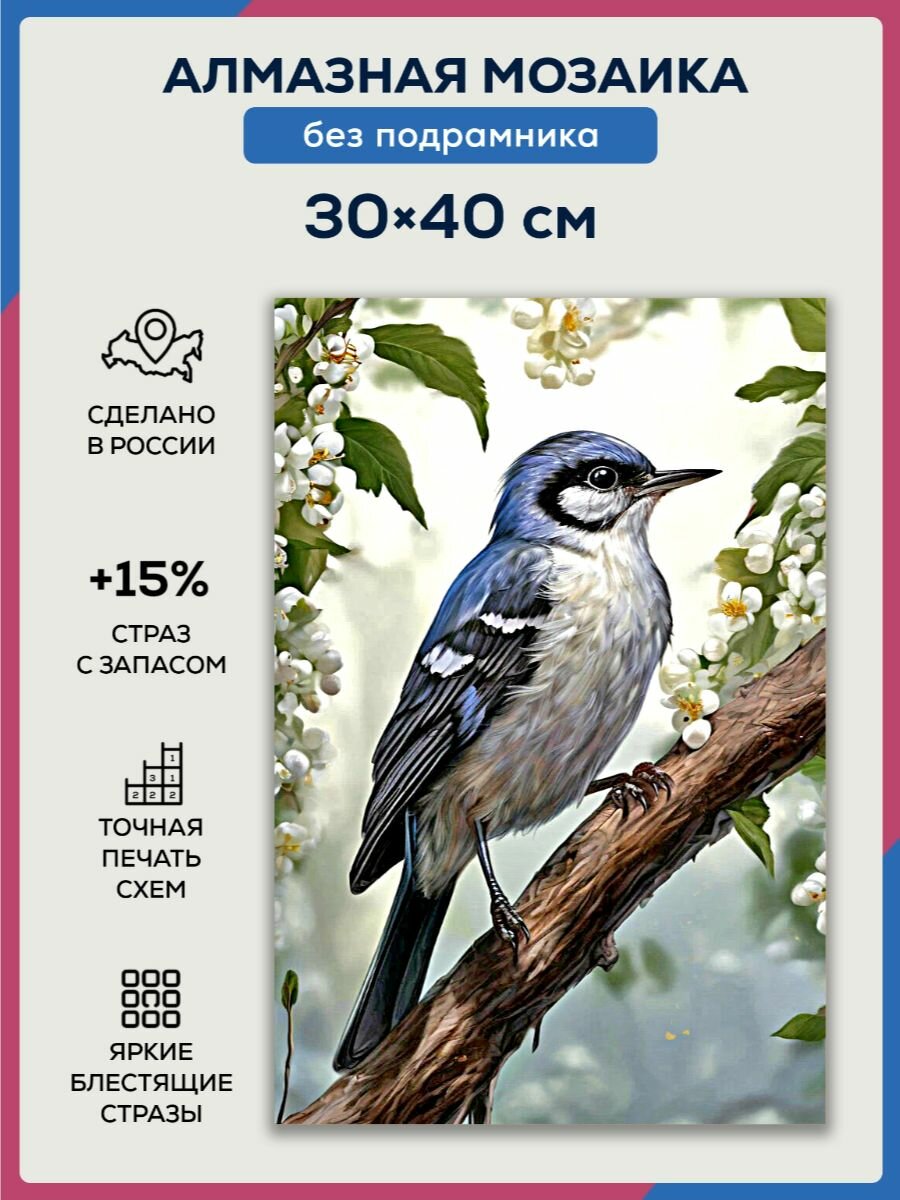 фото Алмазная мозаика 30x40 Голубая сойка без подрамника