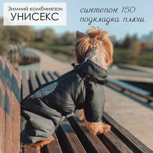 Комбинезон одежда для собак мелких и средних пород пуховик для животных унисекс Ангел 5000₽