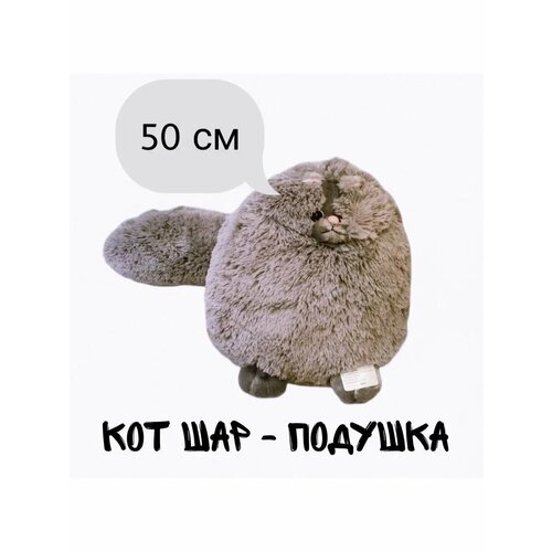 Персидский Кот Шар Беляш