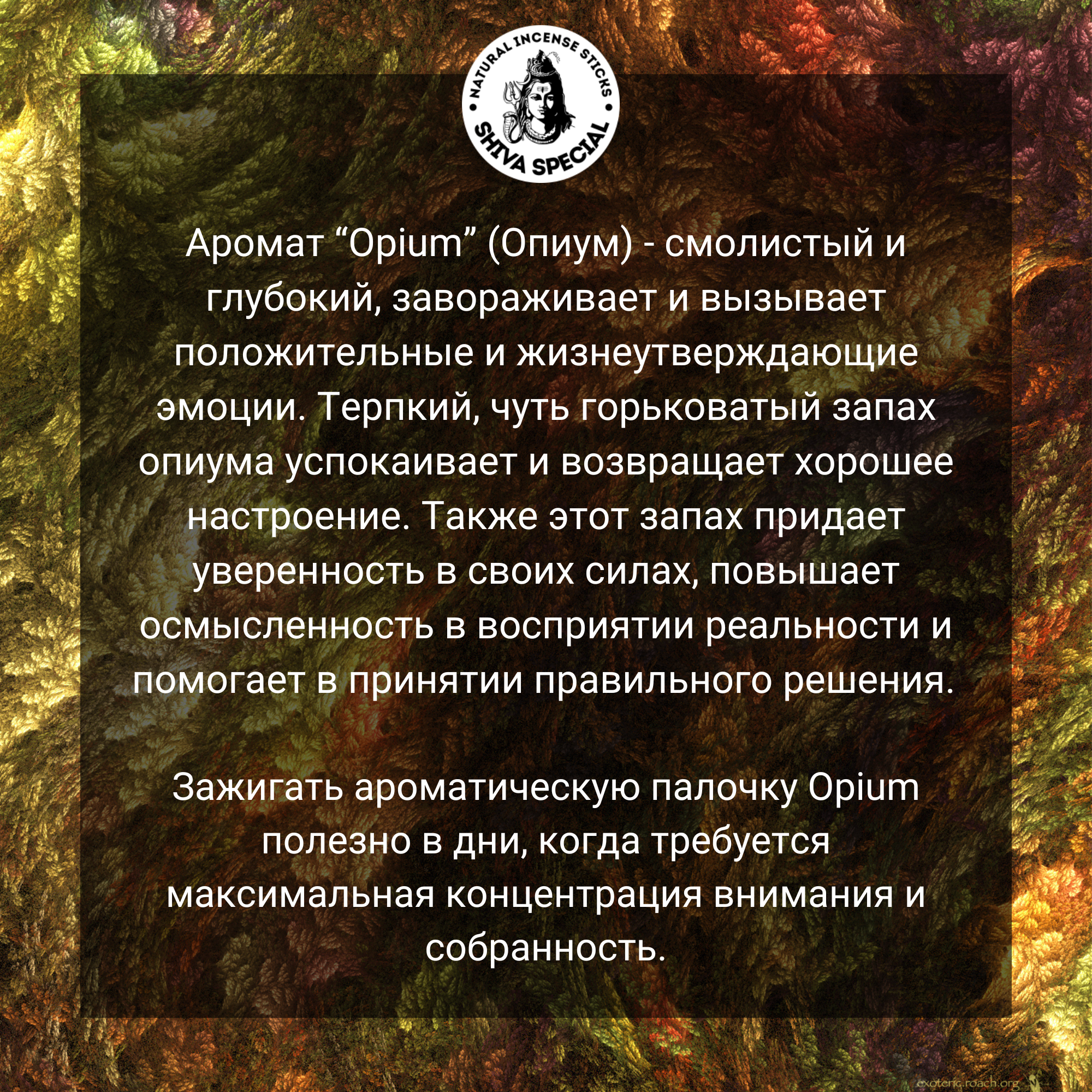 OPIUM индийские благовония-палочки (Shiva Special) — фото 1