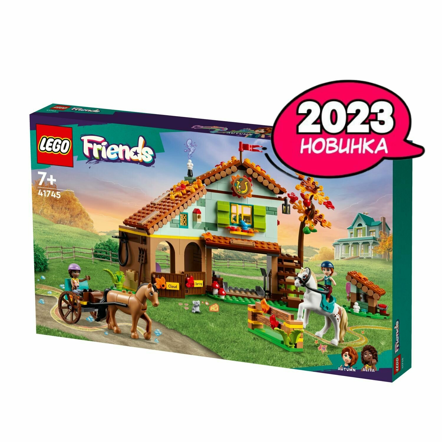 LEGO Friends 41057 Shop device