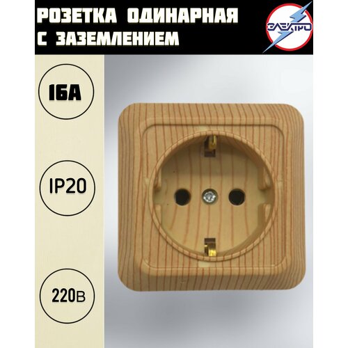 сосна