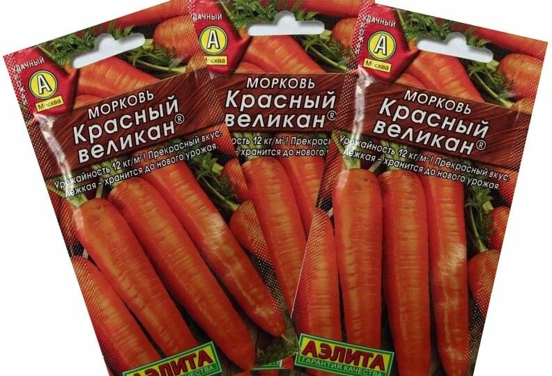 Морковь Красный великан ( 3 упаковки семян )