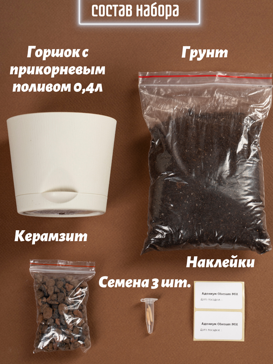 Набор для выращивания растений из семян Адениум Обесум МИКС — фото 1