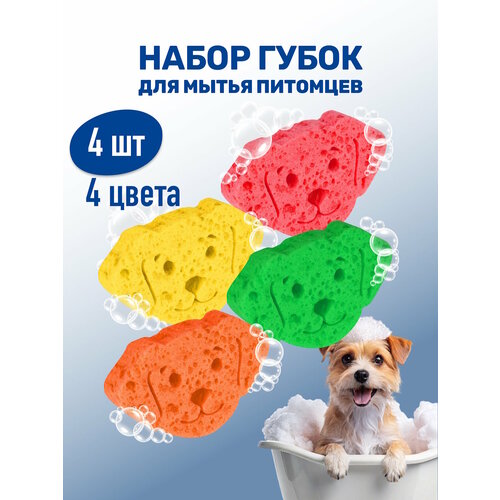 Набор губок для мытья животных / ZOORIK / Зурик / "собака" цветные 4 шт