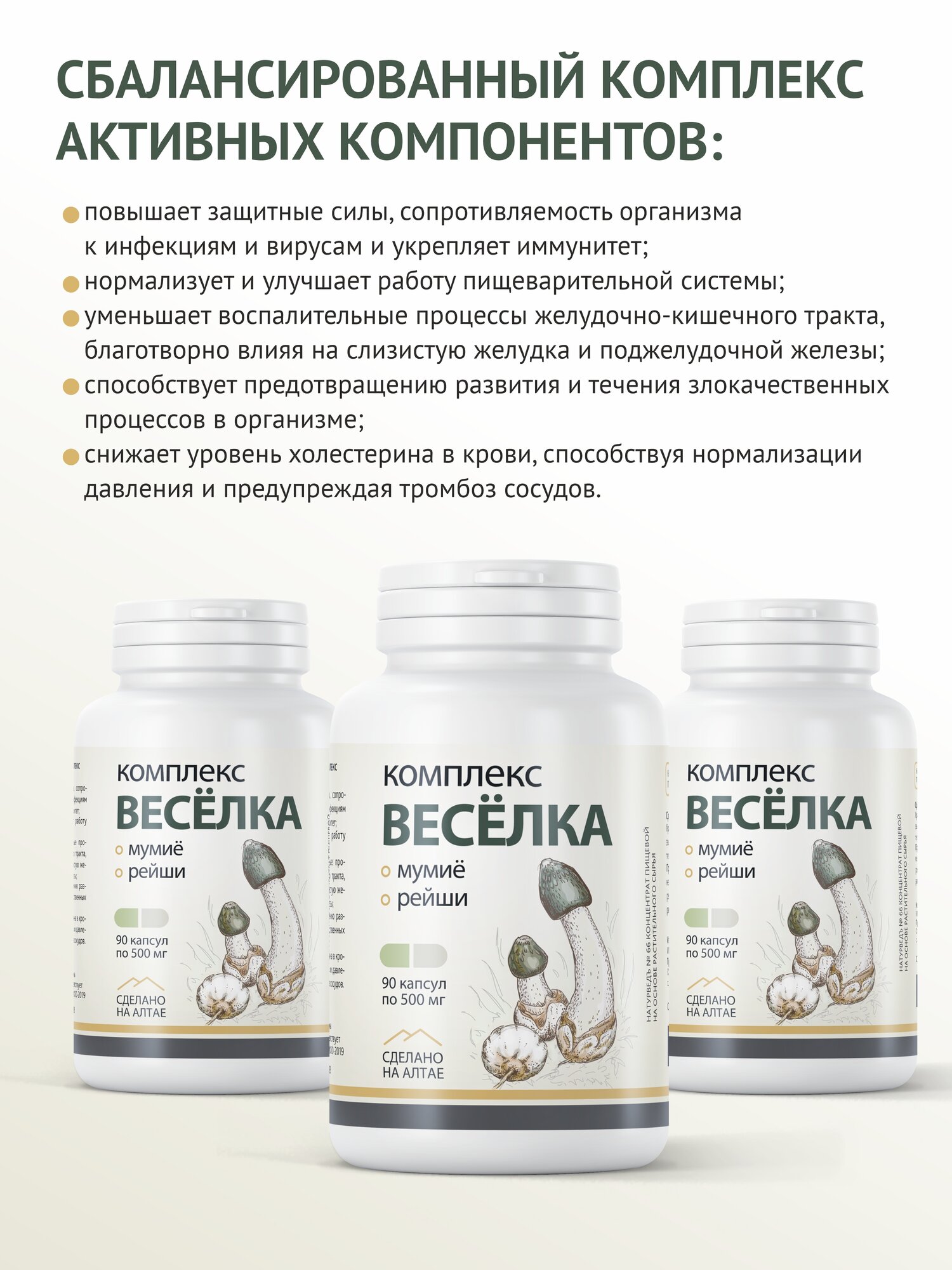 Изображение Гриб Веселка экстракт с чагой Рейши комплекс для здоровья, иммунитет, 90 капсул