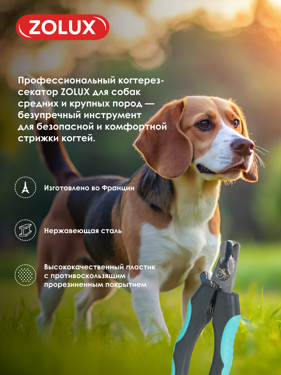 Картинки Ножницы, когтерез-секатор для собак, L ZOLUX