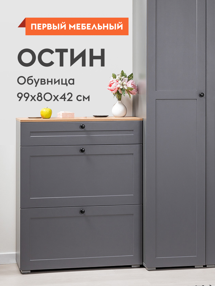 Обувница узкая Остин для прихожей закрытая до 12 пар 80х41.6х99.3 см Серый графит / Дуб крафт золотой