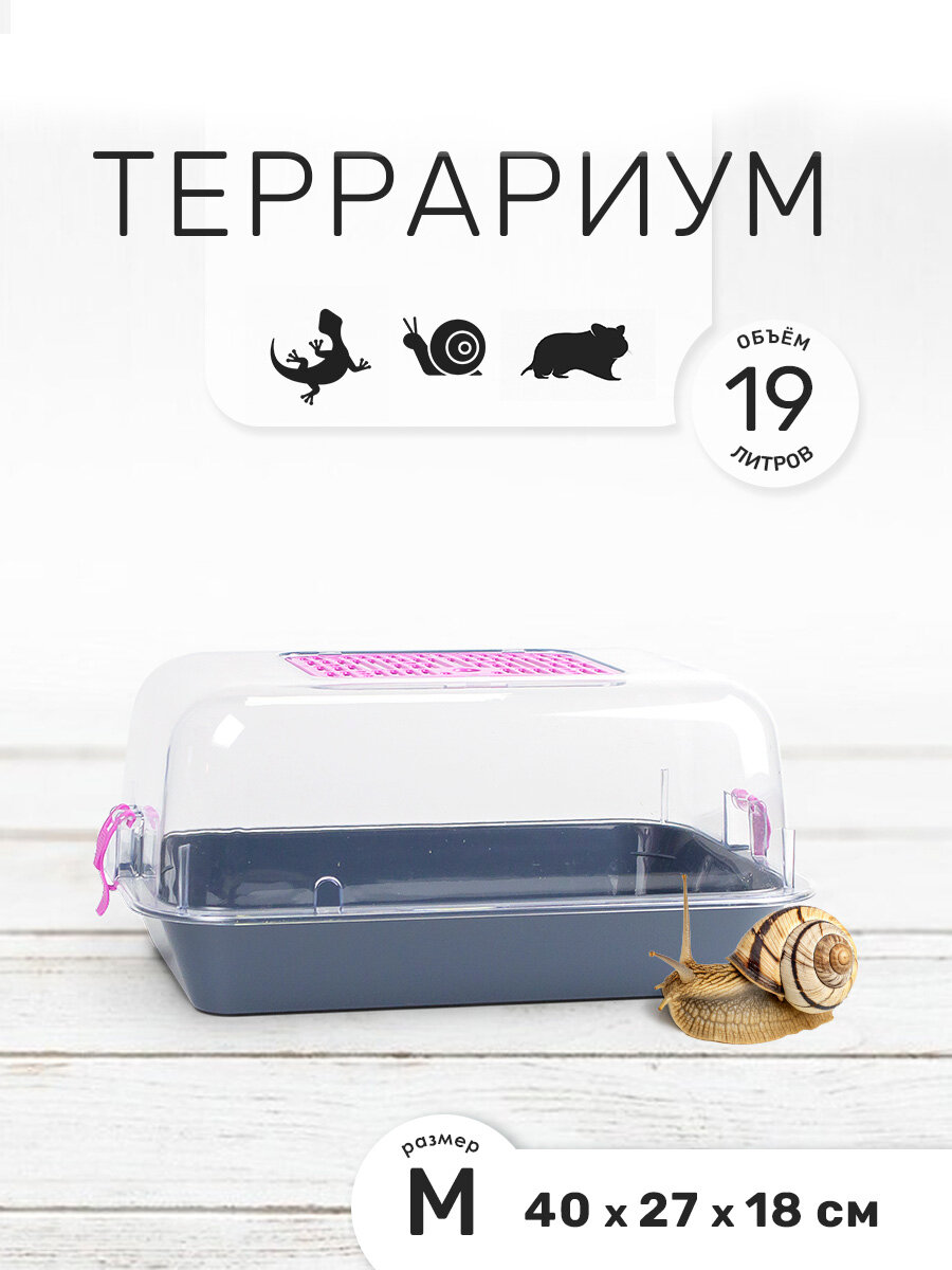 Террариум-клетка ZOOSET ДЮНА для улиток и мелких грызунов 40х27х18 см серый/сиреневый (прозрачная крышка)