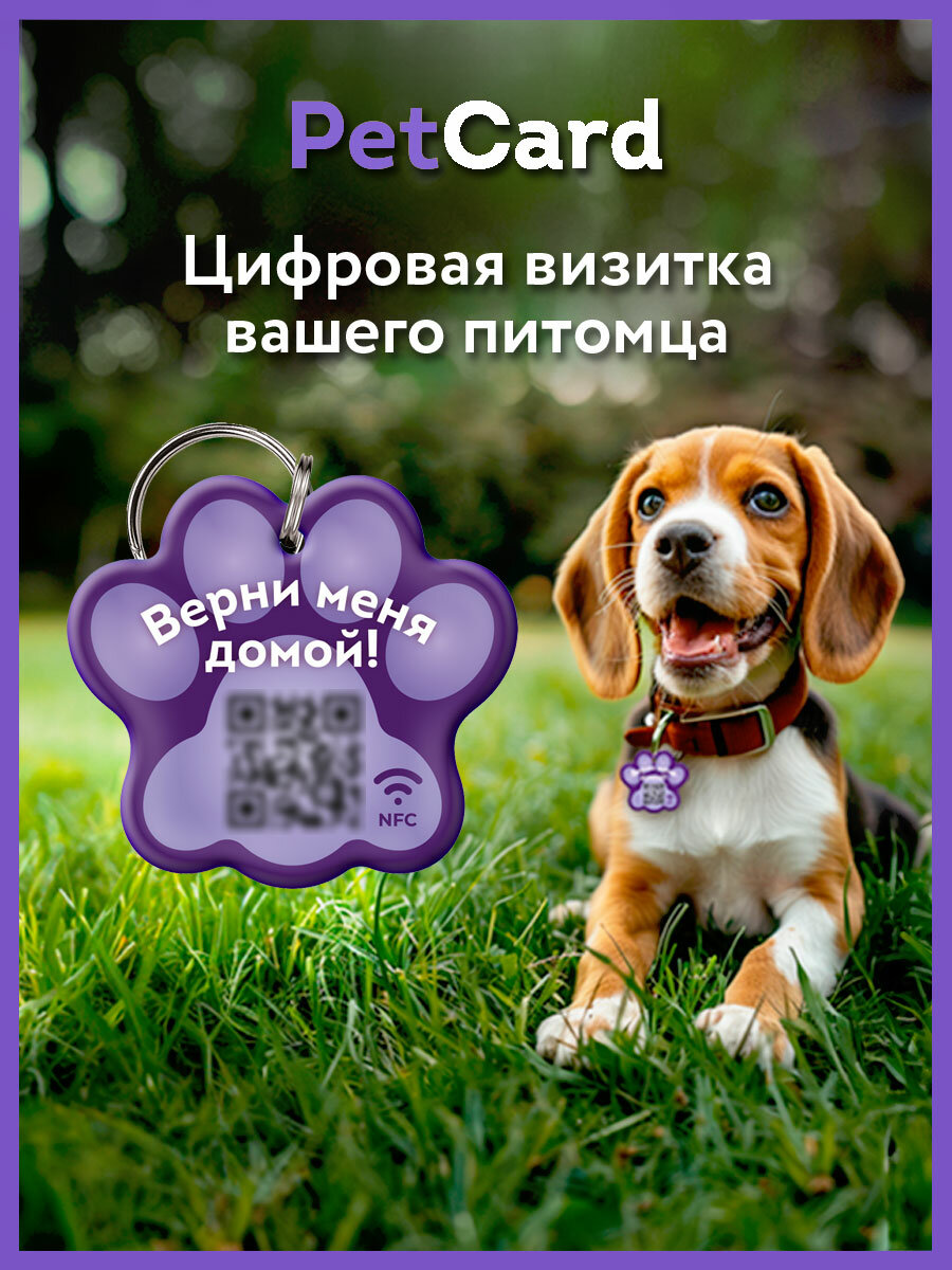 Адресник PetCard для собак и кошек с QR кодом и NFC фиолетовый.