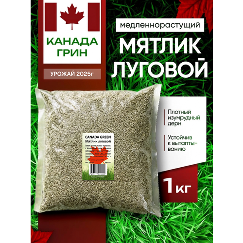 фото Мятлик луговой canada green 1 кг, мятлик луговой 1 кг канада грин