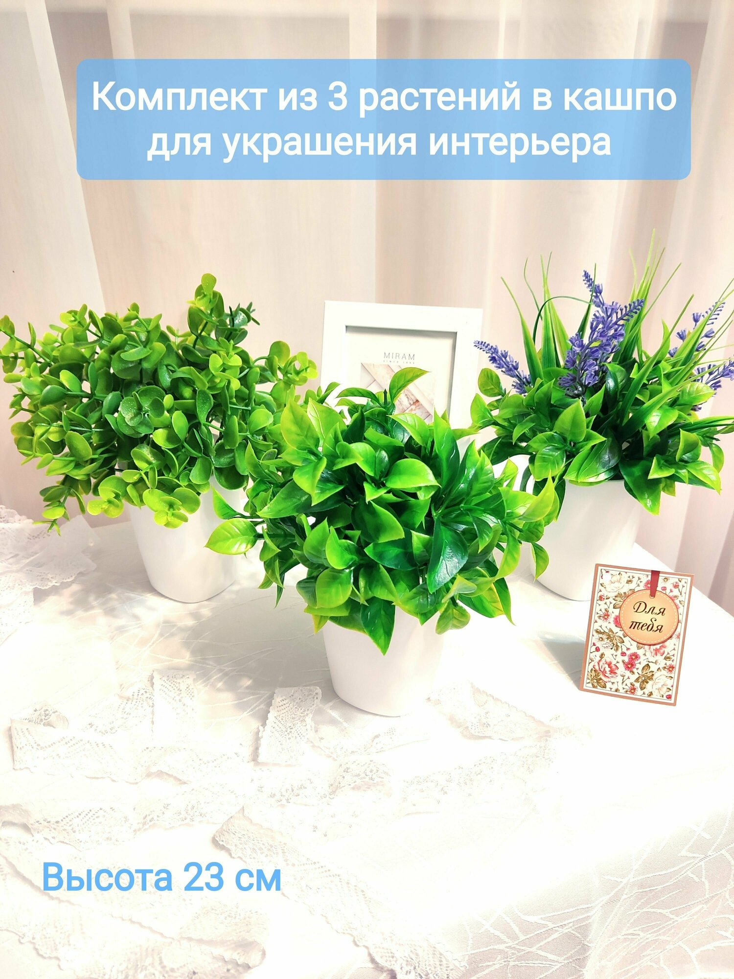 Искусственные растения эвкалипт и самшит 3 штуки в комплекте декор для дома 23 см