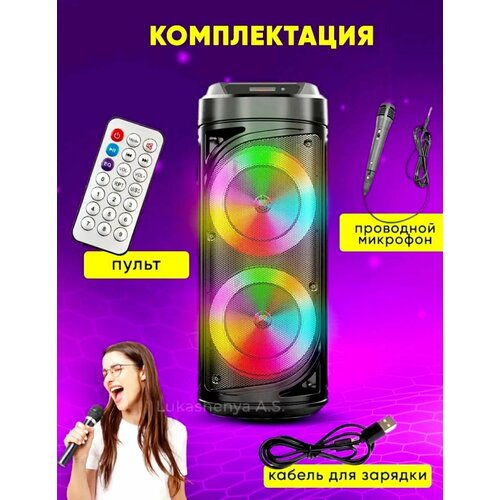 Портативная колонка (ZQS-6212) Bluetooth/USB/MicroSD/FM/ (черная) портативная колонка bt speaker zqs 8210 с микрофоном и пультом