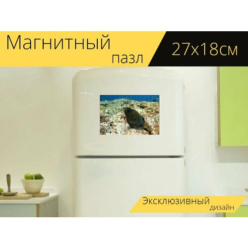 Магнитный пазл Мурена, угорь, рыбы на холодильник 27 x 18 см.