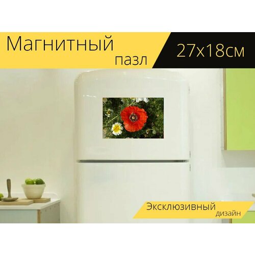 Магнитный пазл Мак, цветок, восточный мак на холодильник 27 x 18 см. мак восточный ruffles turkenlouis