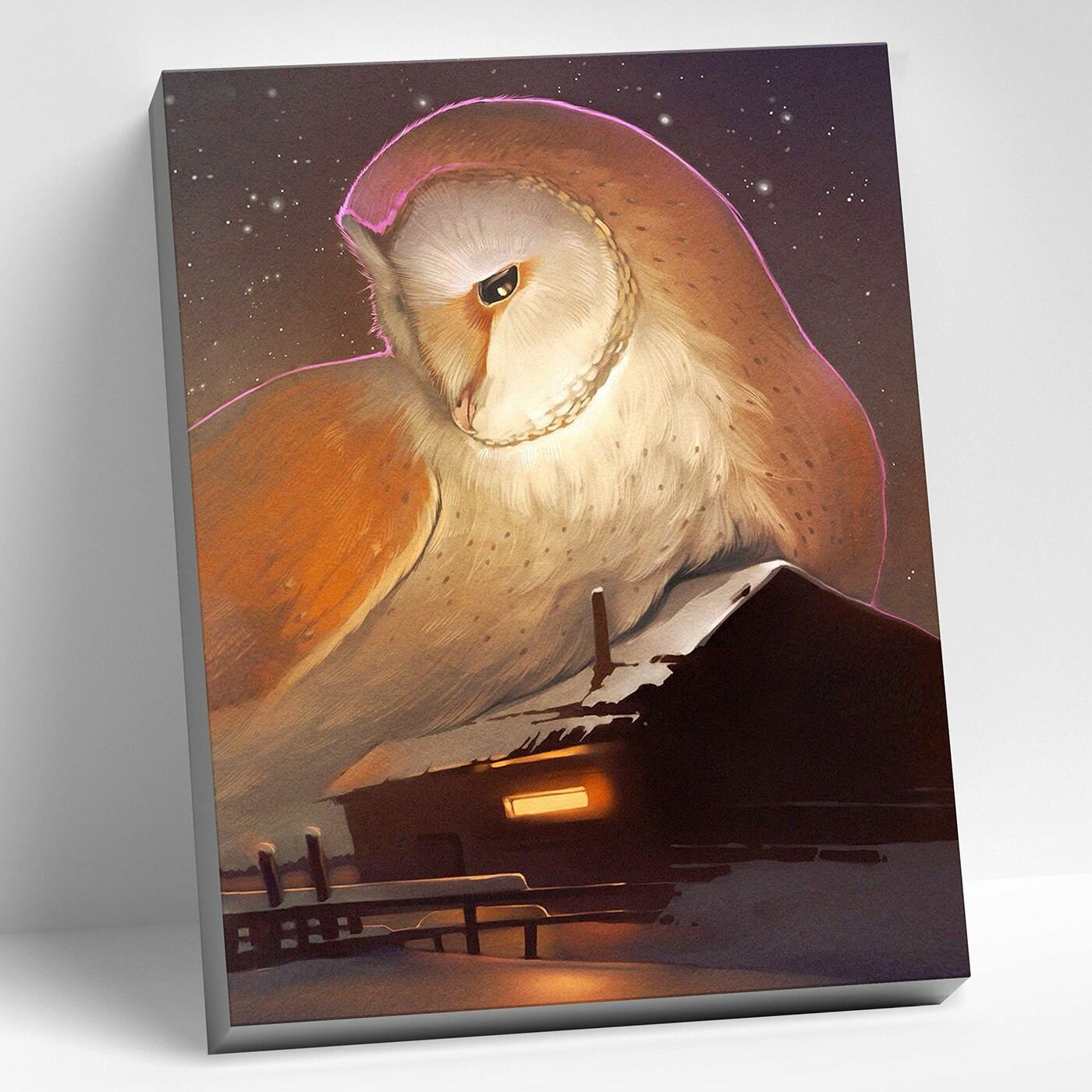 Картина по номерам 40х50 Ночная сова сипуха