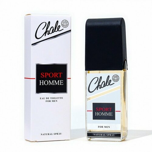 Туалетная вода мужская Chale Sport Homme, 100 мл