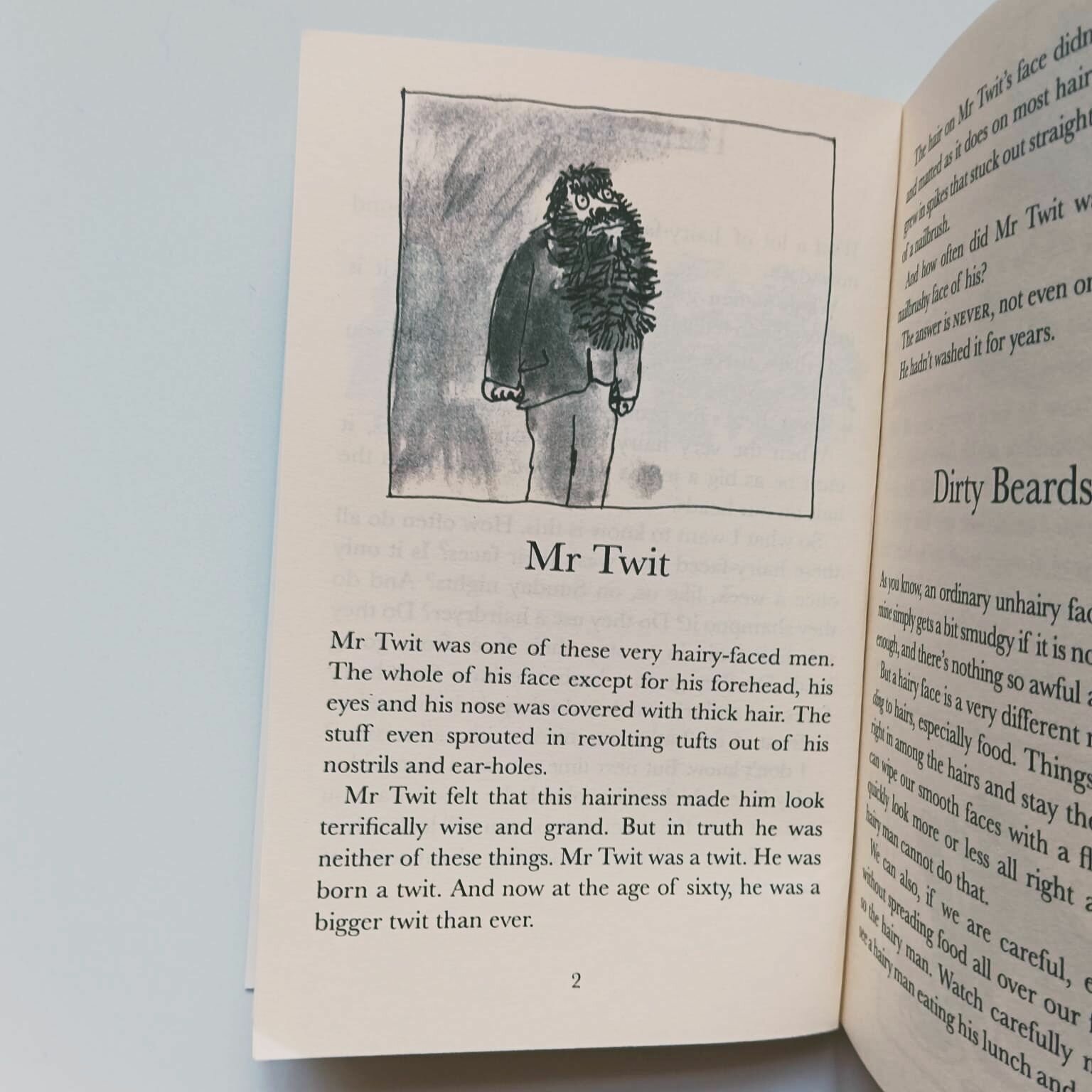 The Twits (Roald Dahl) - фото №8