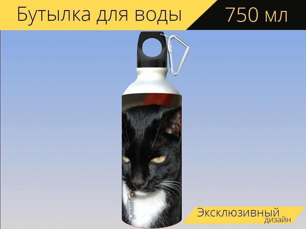 Бутылка фляга для воды "Черный кот, кошка, одомашненный" 750 мл. с карабином и принтом