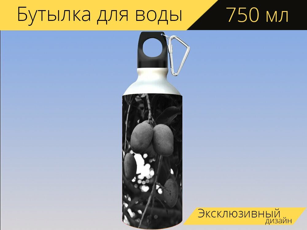 Бутылка фляга для воды "Манго, филиал, черное и белое" 750 мл. с карабином и принтом