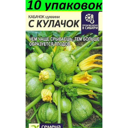 Семена Кабачок С Кулачок цуккини 10уп по 1г (Сем Алт) семена морковь соната 10уп по 1г сем алт