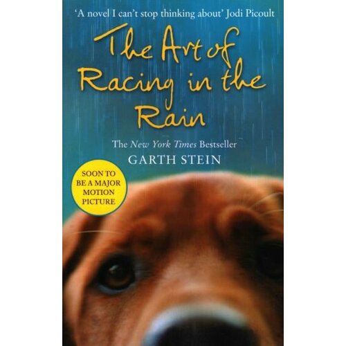 Garth Stein - The Art of Racing in the Rain