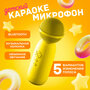 Микрофон-колонка Bluetooth AMFOX AM-MIC70