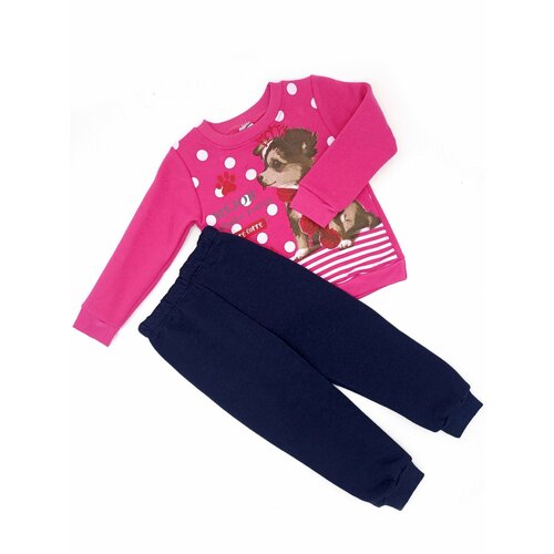 фото Комплект одежды , свитшот и брюки, повседневный стиль, размер 5 лет, розовый, синий just joy kids