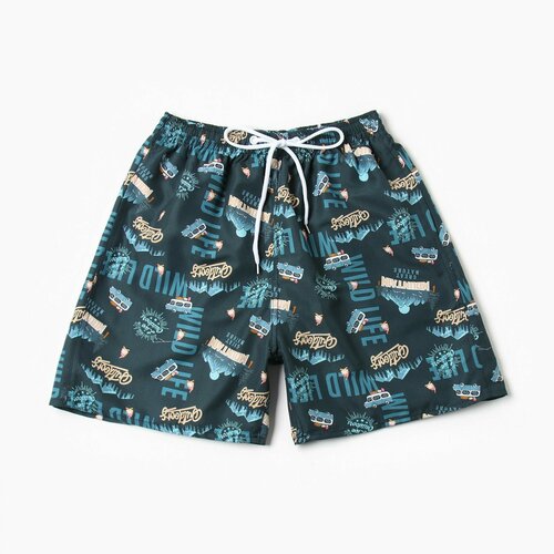 фото Шорты для плавания kaftan, размер 48, синий