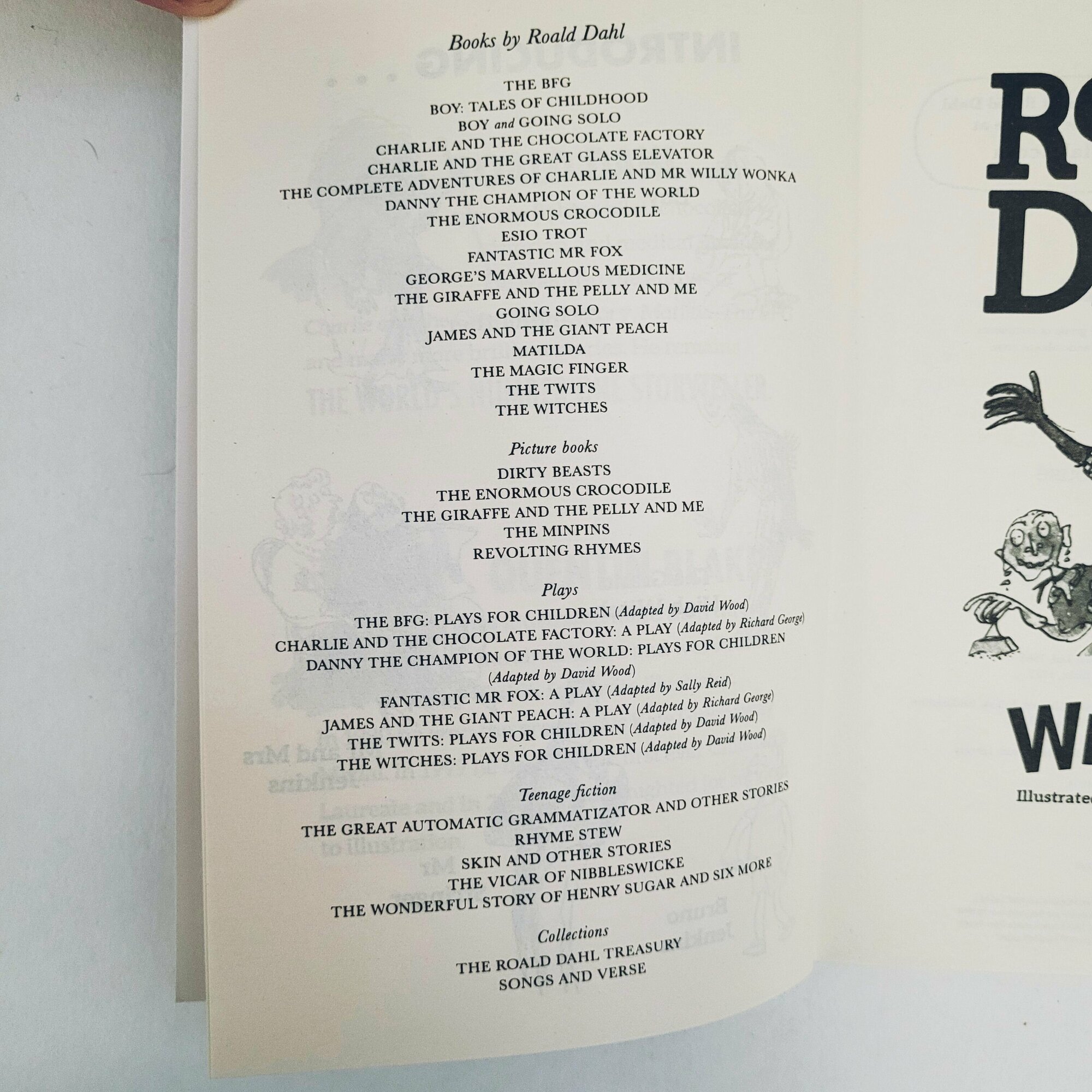 The Witches (Roald Dahl) - фото №7