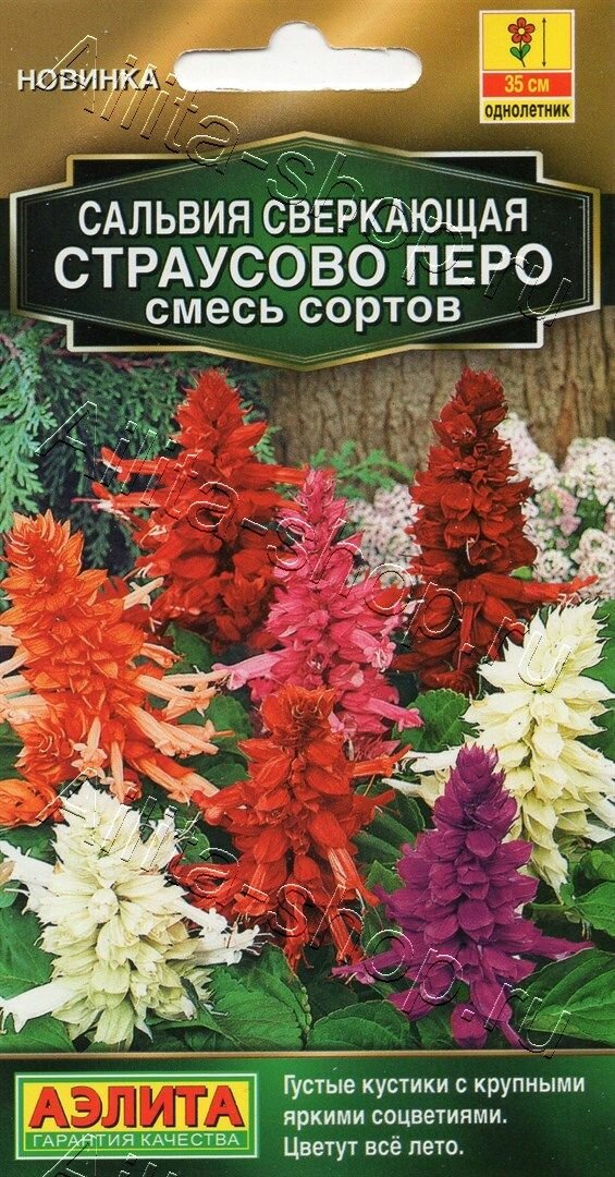 фото Семена Сальвия Страусово перо (смесь сортов) 0,1г (Аэлита)