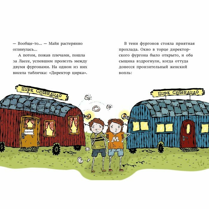 Дело о цирке (Видмарк Мартин) - фото №19