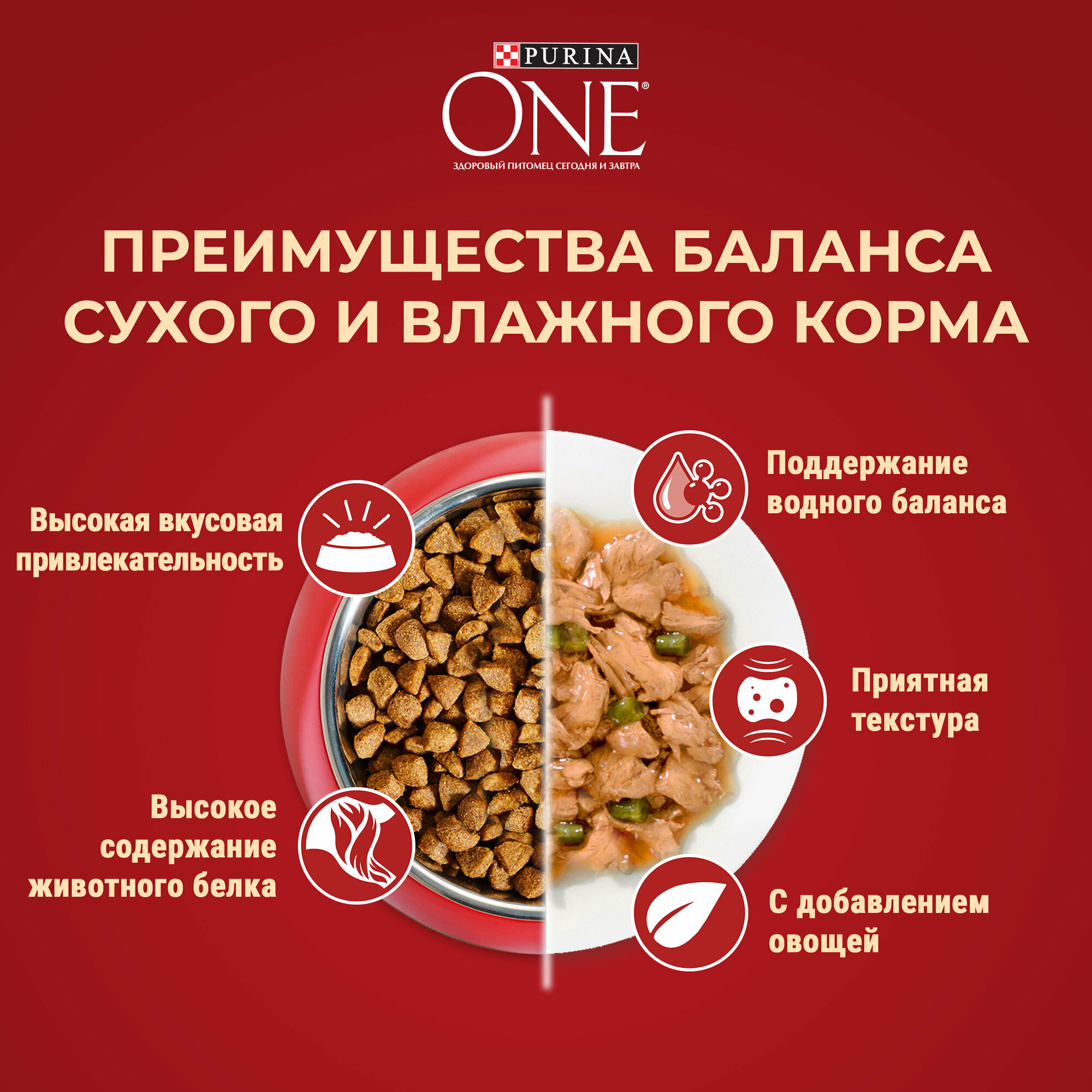 Сухой корм Purina ONE Мини для собак с активным образом жизни с курицей и рисом, 7 кг - фото №10
