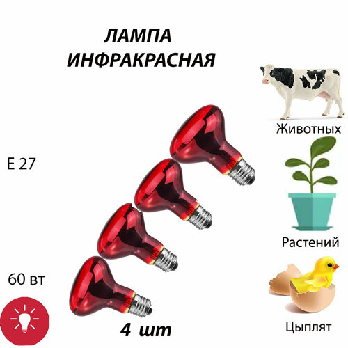 Лампа инфракрасная 4 шт для обогрева для лечения, для курятника, для растений, для птиц, для животных, для цыплят (60 Вт Е27)
