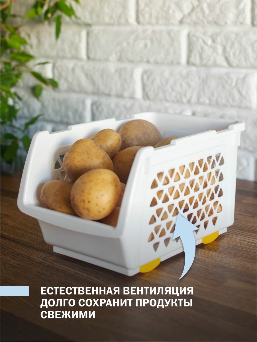 Комплект из 3 штук ящики для овощей Интерм 4,5л белый - фотография № 5