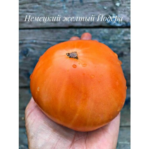 Коллекционные семена томата Немецкий Жёлтый Йодер