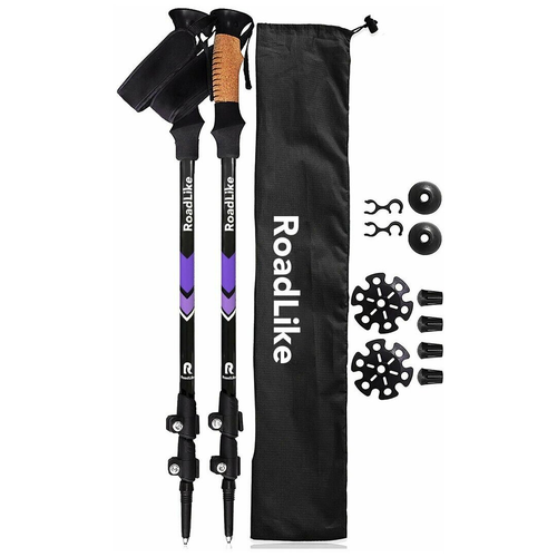 фото Палки для скандинавской ходьбы roadlike scandi, черника