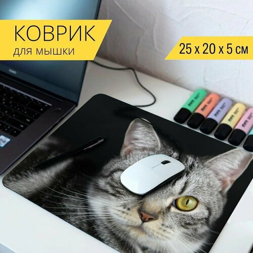 Коврик для мыши с принтом Британские короткие волосы, кошка, котенок 25x20см.