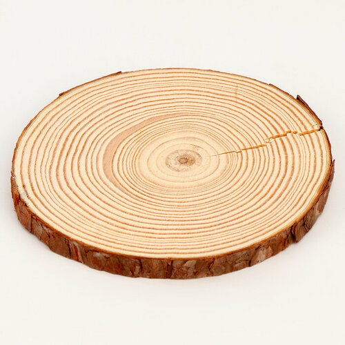 Деревянный декор Спил дерева размер: от 13 до14 см спил дерева осина диаметр 13 см