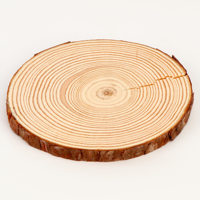 Деревянный декор Спил дерева размер: от 13 до14 см