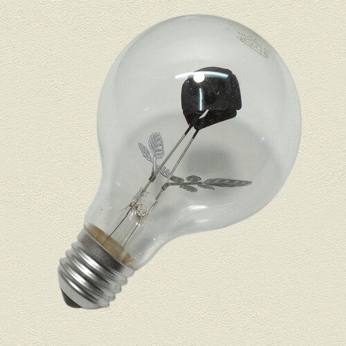 фото Декоративная лампочка Decor Flower Rose G80