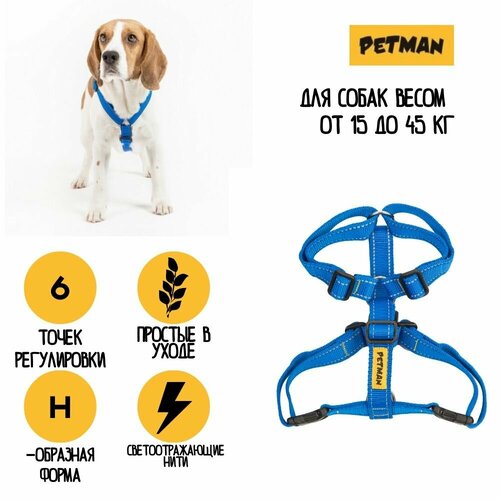 Регулируемая светоотражающая шлейка для собак до 40 кг 25 мм