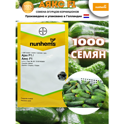 Аякс F1 - семена огурцов корнишонов, 1 000 семян, Nunhems/Нунемс (Голландия)