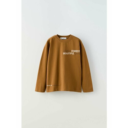 Лонгслив Zara, размер 140, коричневый футболка zara хлопок размер s зеленый