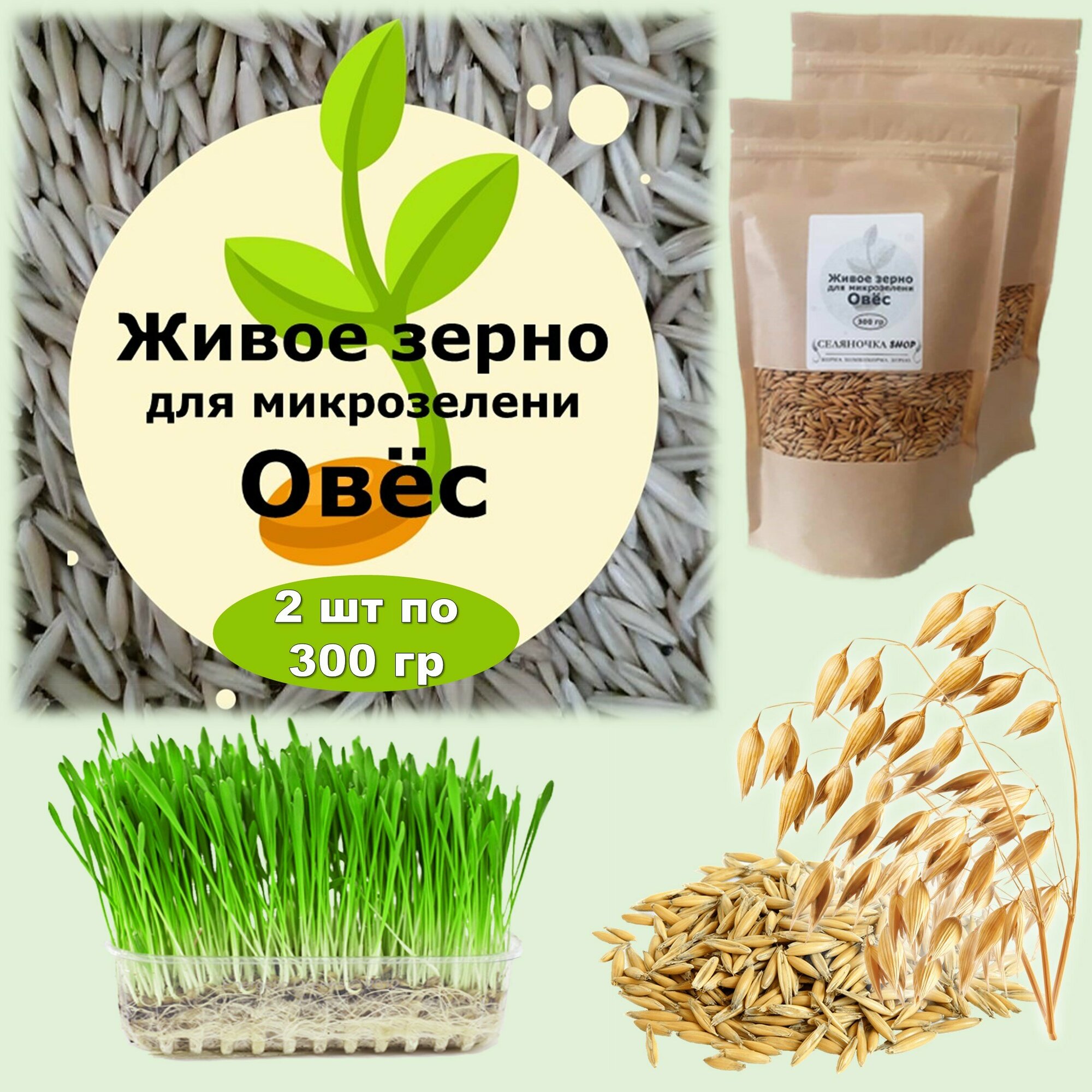 Семена для микрозелени "Живое зерно" Овёс, 2 штуки по 300 гр