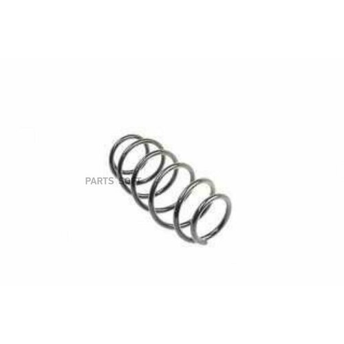 BSG AUTO PARTS BSG70305007 Пружина задней подвески
