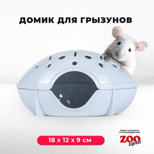 домик zooexpress для грызунов хомяков крыс и мышей 18х12х9 см без дверцы оранжевый Домик ZOOexpress для грызунов, хомяков, крыс и мышей, 18х12х9 см, без дверцы, светло-голубой